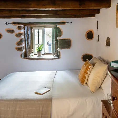 Apartment Tulia & Coworking Los Realejos